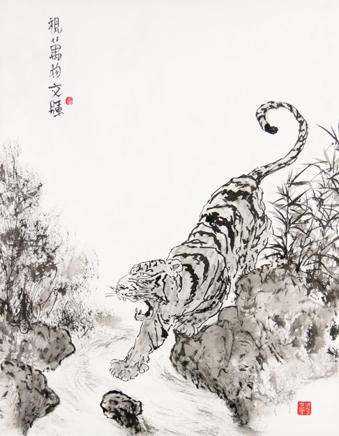 Tigre Eau